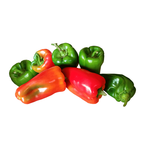 Organic Capsicum