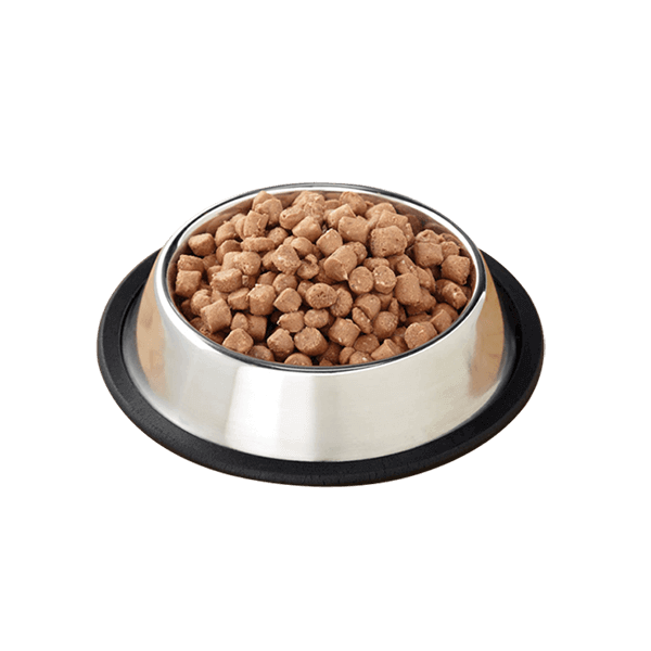 Pet Food