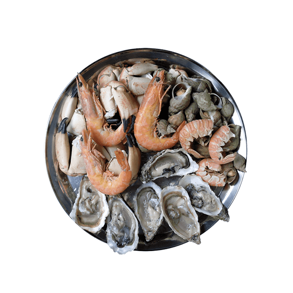 SeaFood